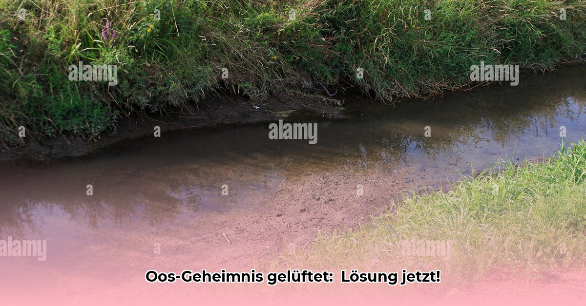 fluss-durch-baden-baden